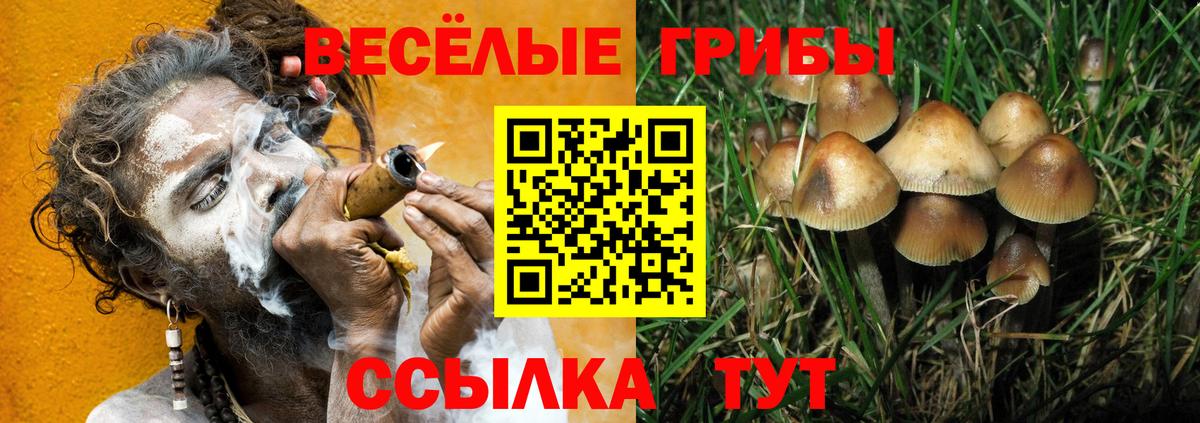 Назрань  Псилоцибиновые грибы GOLDEN TEACHER  как найти закладки  Вход с VPN 